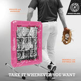 ALAGPRO? The Original 9 Hole Pitching Net with Strike Zone Pocket | Pitching Target for Baseball & Softball Pitchers